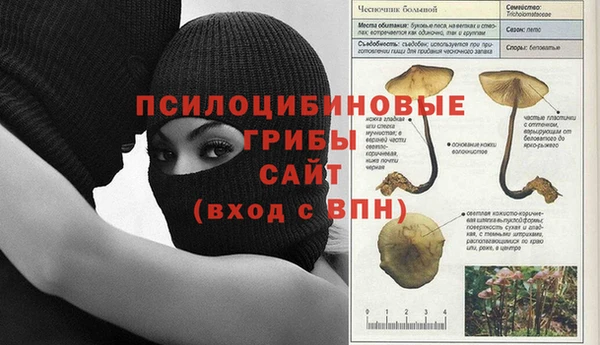 apvp Аркадак
