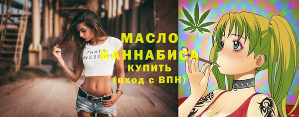 тгк Алзамай