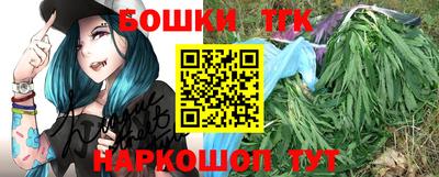 стаф Кунгур