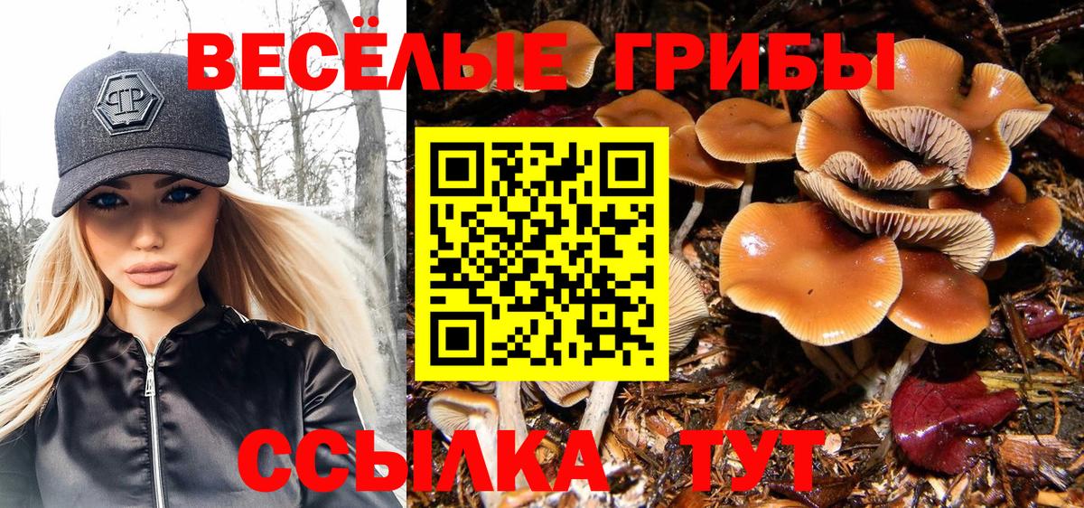 Каменск-Уральский  Псилоцибиновые грибы ЛСД  наркошоп  Вход с VPN 